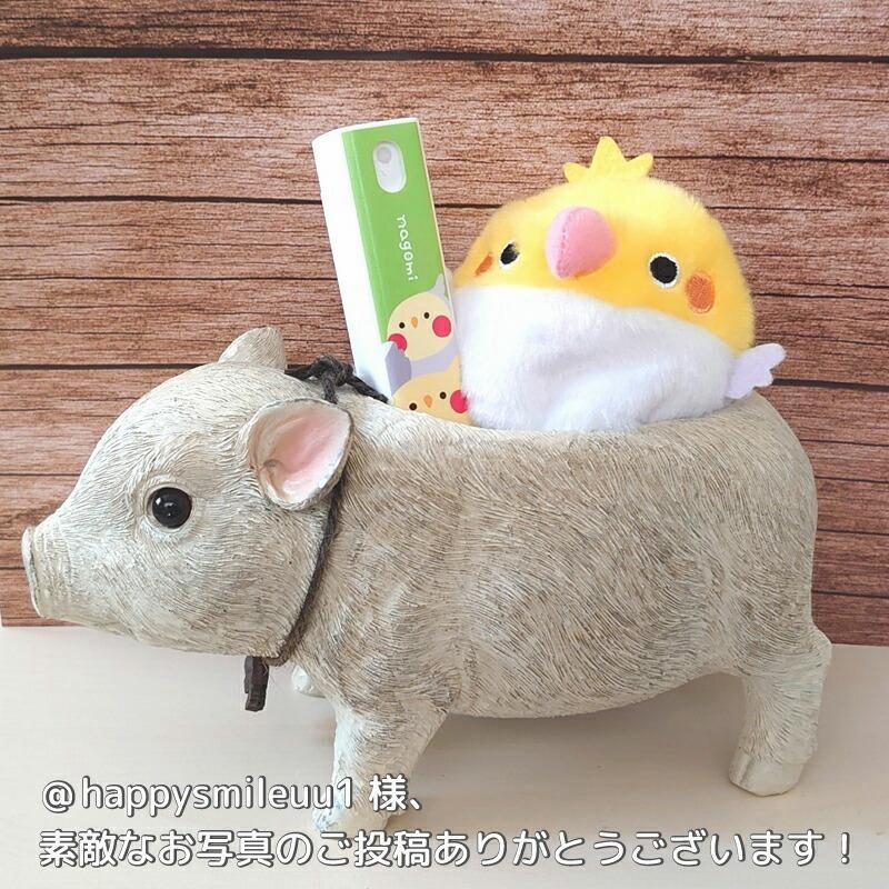 とりだんご】オオワシ ぬいぐるみ ◇◇ | LINEブランドカタログ