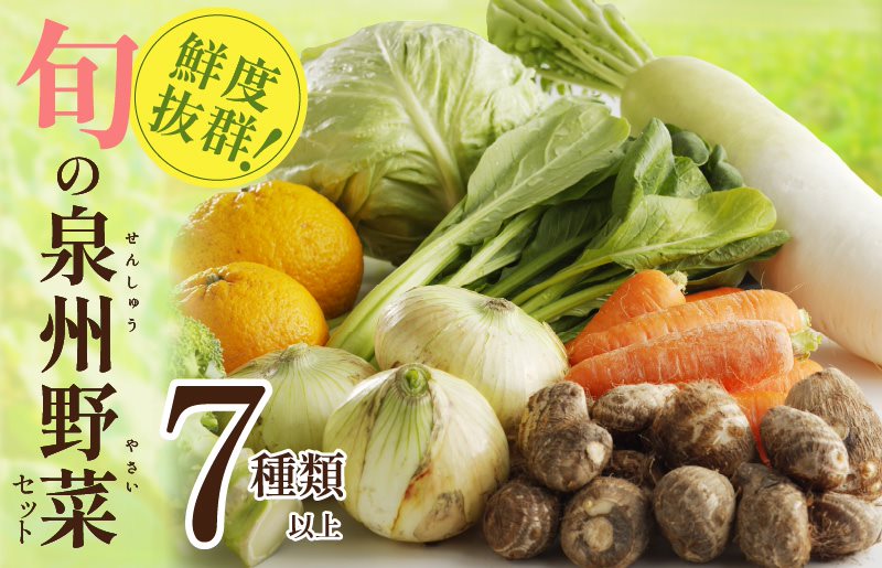 005A443 旬の野菜セット 詰め合わせ 7種類以上 国産 新鮮 お試し おまかせ お楽しみ