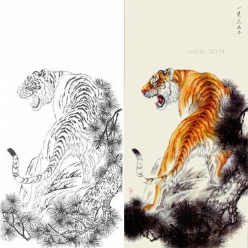 實物參照彩圖 底稿 可上色 列印稿 宣紙 老虎動物花鳥猛獸禽鳥工筆畫白描底稿實物2-62