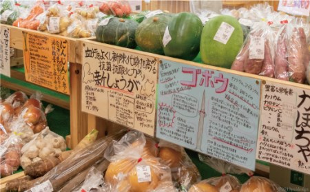 BD025 大三東からお届けおすすめ野菜セット（極上卵、有明海産海苔、手延べ素麺、島原産米付き）