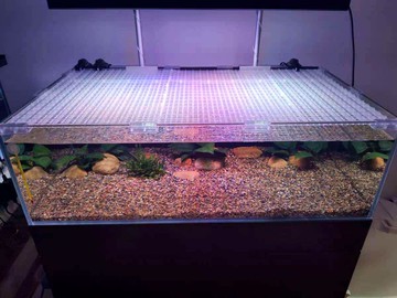 魚缸底板濾板底濾隔板水族箱濾材墊板防死水魚缸網格板烏龜缸曬臺