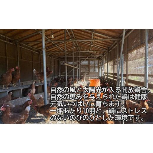 ふるさと納税 埼玉県 蓮田市 平飼い卵 30個入 Lサイズ