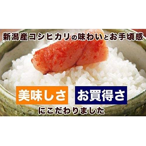 新潟県産 コシヒカリ 山並 白米 5kg 令和4年産