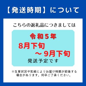 ぶどう「シャインマスカット」岡山県総社市産24-017-002