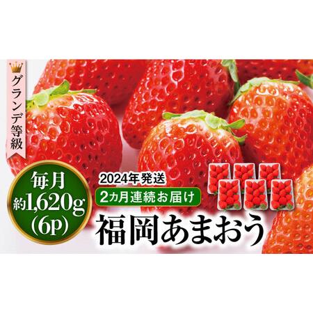 ふるさと納税  あまおう いちご 1,620g 約 270g × 6パック 糸.. 福岡県糸島市