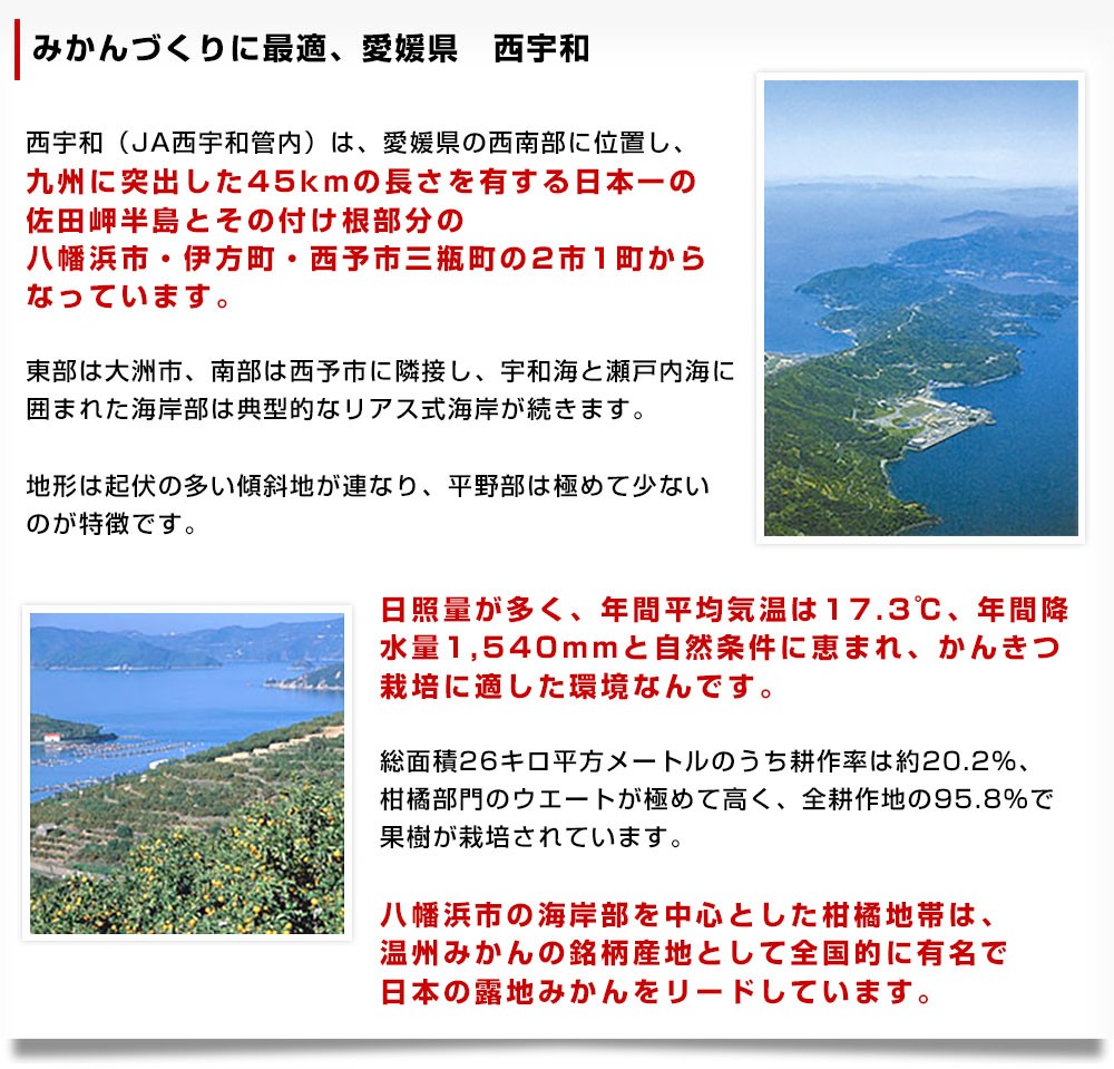 愛媛県より産地直送 JAにしうわ 西宇和プレミアムみかん「媛美月」小玉 SSサイズ 5キロ(80玉前後) 送料無料 蜜柑 ミカン ひめみづき