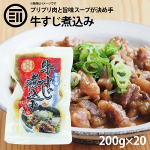 [前田家]  博多流 牛すじ 煮込み しょうゆ味 20パック（200g×20） 牛スジ 牛筋 すじ肉 スジ肉 醤油 レトルト 惣菜 煮物 おかず 常温 食