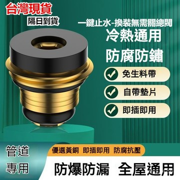 隔日達⚡免生料帶止水閥墊片 緊急止水閥 止水閥墊片 黃銅止水閥 硅膠生料帶 防爆耐高溫 水龍頭止水膠帶 水龍頭止水閥 N