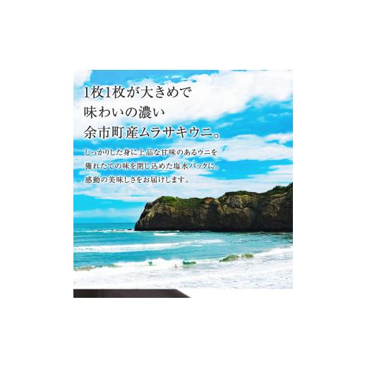 ふるさと納税 北海道 余市町 ≪贈り物≫ 幸雲丹80g(ムラサキ 北海道産)