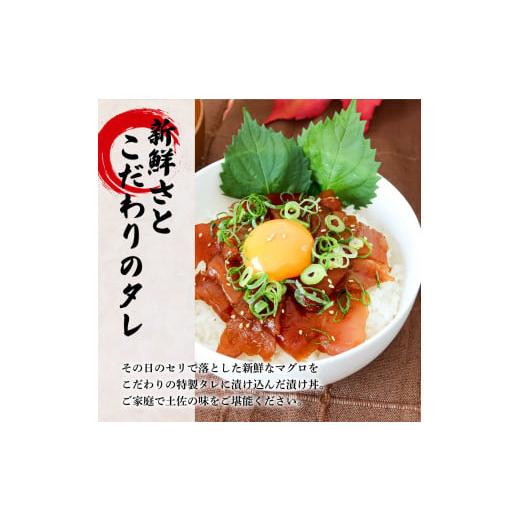 ふるさと納税 高知県 田野町 これが魚屋の漬け丼だ！〜マグロ〜 《訳あり》 ８０ｇ×５P まぐろ マグロ 鮪 漬け丼 漬け どんぶり 丼 5パック 海鮮 魚 真空パッ…