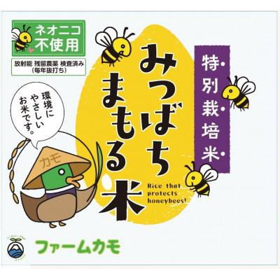 ふるさと納税 浜松市 雄踏ファームカモ産「みつばちまもる米」玄米5kgコシヒカリ