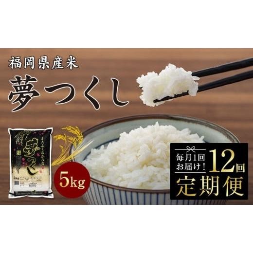 ふるさと納税 福岡県 八女市 JAふくおか八女　福岡県産米　夢つくし5kg