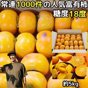 柿 訳あり 富有柿 4kg＋増量約1kg 計5kg 約13～23玉 送料無料 甘柿の王様 奈良 西吉野 柳澤果樹園 富有柿 家庭用