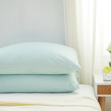 【廠商直送】iHOMI-Huggy冰絲涼感熟睡枕-綠茵草75*45cm