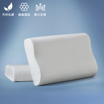 東妮寢飾 防螨抗菌乳膠工學枕(2入)