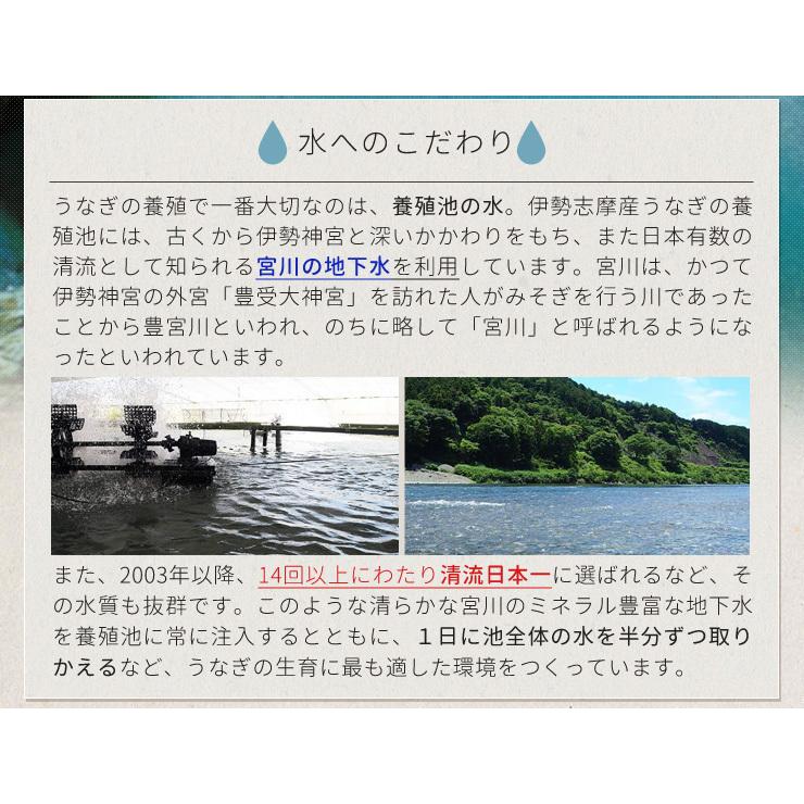 うなぎ セット 伊勢志摩産 ４尾（たれ２尾 白焼き２尾） たれ付 送料無料 国産 ウナギ 鰻 蒲焼き 丑の日 個包装 冷凍 化粧箱入 お歳暮 ギフト