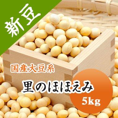 大豆 里のほほえみ 宮城県産 大粒大豆 令和５年産 5kg 業務用