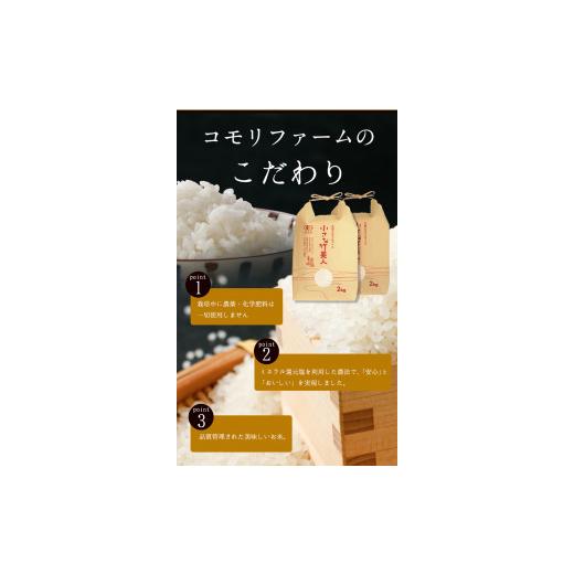 ふるさと納税 福岡県 小竹町 令和5年産 小さな竹美人 精米 4kg(2kg×2袋) 白米 株式会社コモリファーム《お申込み月の翌月…