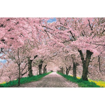 【拼圖貓】HC - 風景系列 -愛戀櫻花 台灣製 1000片 夜光拼圖 1000-109D