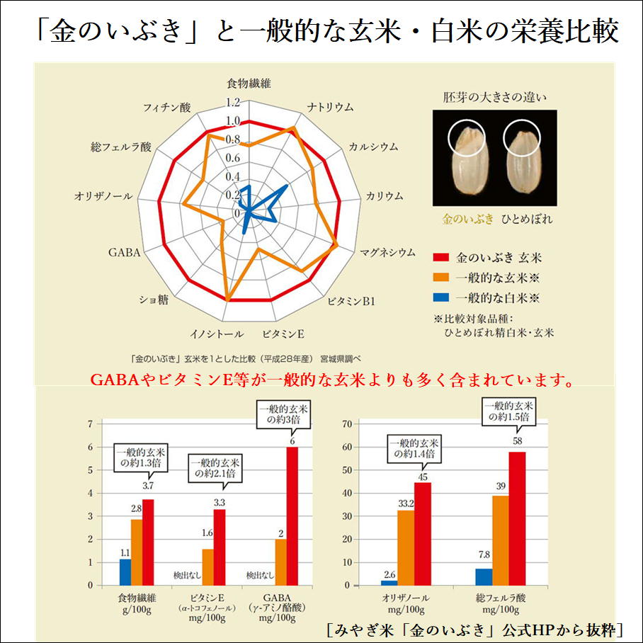 金のいぶき 玄米 宮城県 5kg 令和4年産 胚芽が3倍大きい玄米食専用米