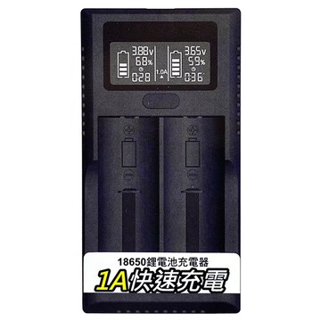 PRO-WATT 華志 鎳氫/鋰電池充電器 VIP-ZL220C