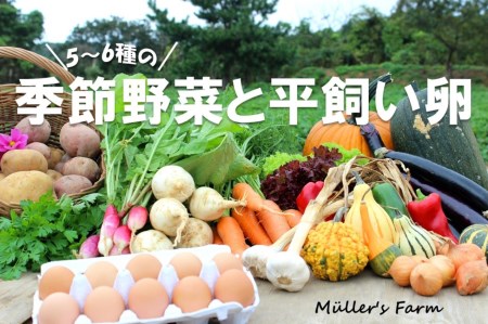 季節の野菜詰め合わせ（5～6種）と平飼い卵セット！農薬不使用だから安心安全！