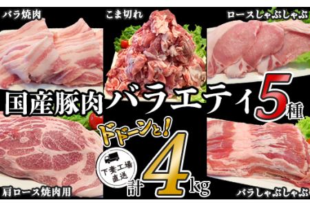 57-3国産豚肉バラエティ5種セット4kg（小分け真空包装）