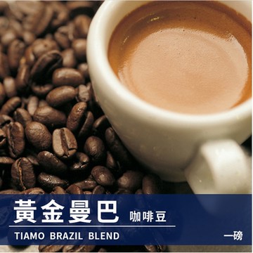 TIAMO一磅裝咖啡豆-黃金曼巴 450g(HL0616)