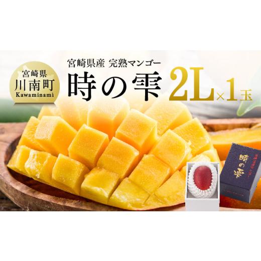 ふるさと納税 宮崎県 川南町 令和６年産 宮崎県産完熟マンゴー「時の雫」2L×1玉【 果物 フルーツ マンゴー 宮崎県産 九州産 完熟マンゴー みやざきマンゴー …