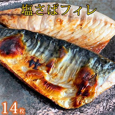 ふるさと納税 九度山町 魚鶴商店が選ぶ人気お魚B(サバフィレ・うなぎ蒲焼・紅鮭切身)全3回