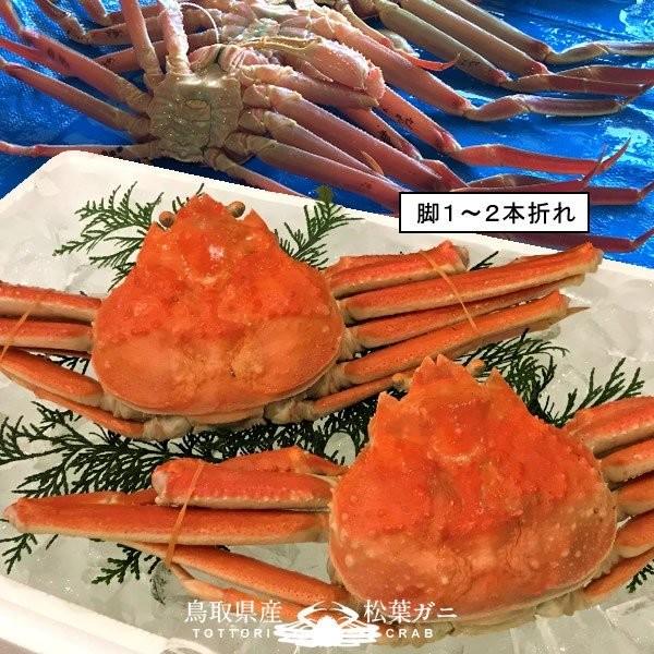 松葉ガニ 松葉蟹 訳あり［B中小］400g×2尾 ゆで蟹 ボイルまつばがに 足折れ 新物 鳥取県産 浜茹で マツバガニ ズワイガニ［お歳暮 2023 ギフト 御歳暮］