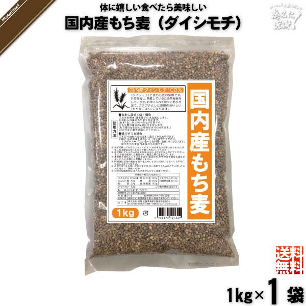 「10個セット」 国内産もち麦 ダイシモチ （1kg）