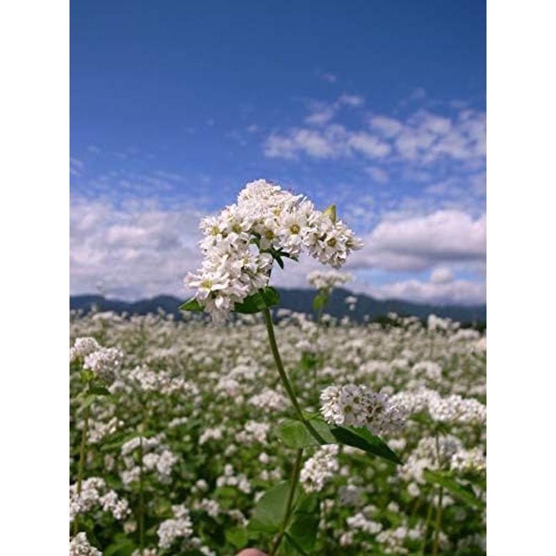 奈良屋 奥会津山芋蕎麦 200ｇ×5個