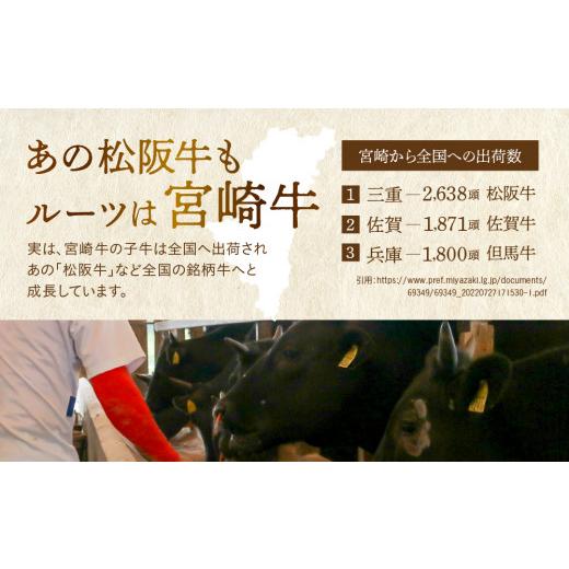 ふるさと納税 宮崎県 綾町 宮崎牛 ウデ すき焼き 計800ｇ 牛肉 肉 国産 しゃぶしゃぶ すきしゃぶ スライス 小分け 赤身 ブランド牛 ギフト 贈り物 九州 宮崎（…