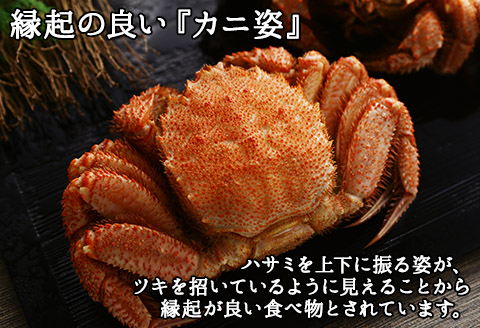 2082. 毛蟹 2尾 計800g前後 食べ方ガイド・専用ハサミ付 カニ かに 蟹 海鮮 ボイル 送料無料 北海道 弟子屈町