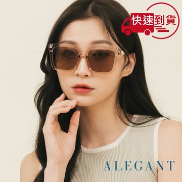 【ALEGANT】沐透茶小個性線條感方框墨鏡/UV400太陽眼鏡