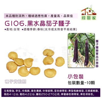 【綠藝家】G106.黑水晶茄子種子10顆(F1) 本品種耐濕熱，種植適應性廣，產量高、品質佳。 茄子種子,蔬菜種子,蔬菜