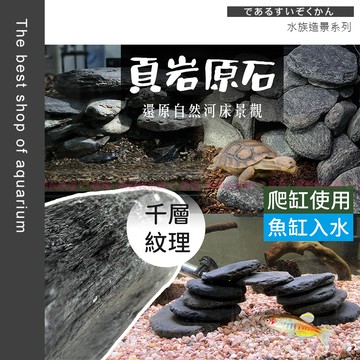 魚寶貝【水族-爬寵✨頁岩原石】陸龜磨甲 水族造景 天然頁岩 石板造景 爬蟲曬台 魚缸造景石 爬寵棲地 岩石佈景