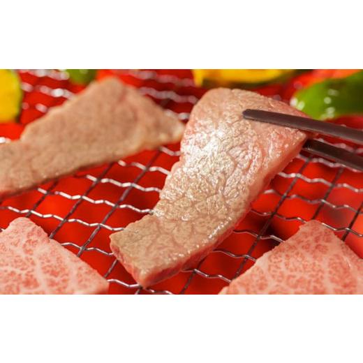 ふるさと納税 静岡県 掛川市 ５５２６　掛川牛「 和牛 」　バラ肉 焼肉 カット 500ｇ（ 250ｇ × 2袋 小分け ） 遠山畜産　小分け