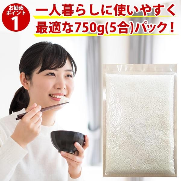 ポイント消化 送料無料 米 5合 750g コシヒカリ 令和3年産 千葉県産 白米 精米 お米 ※同梱・代引き・着日指定不可商品