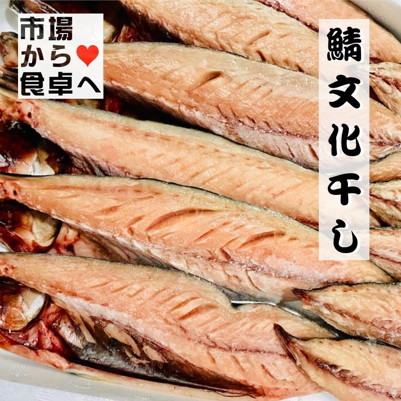 さば文化干し 鯖の干物 12枚(1枚当たり約100g)脂のっています