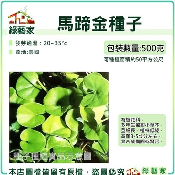 【綠藝家】馬蹄金(金錢草)種子500克(有藥劑處理)庭院 花圃 觀賞草坪 草皮種子 草坪 綠化 果樹 草皮種子大包裝