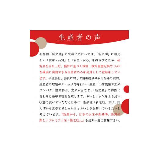 ふるさと納税 新潟県 妙高市 新潟県上越・妙高産新之助10kg(5kg×2袋)×2回（計20kg）