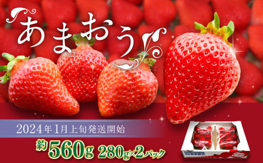 博多あまおう 約280g×2パック(冬) あまおう いちご 苺 果物 フルーツ 福岡県産 博多