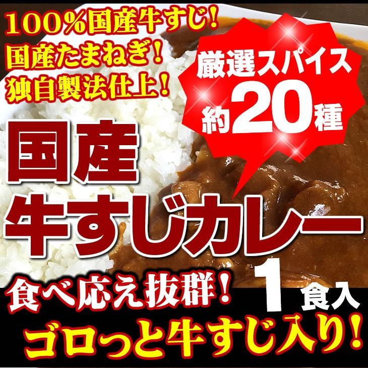 牛すじカレー 1袋 100％国産 牛すじ たまねぎ使用 中辛 惣菜 レトルト 送料無料 非常食 おつまみ 珍味 牛肉 ご飯のお供 贅沢