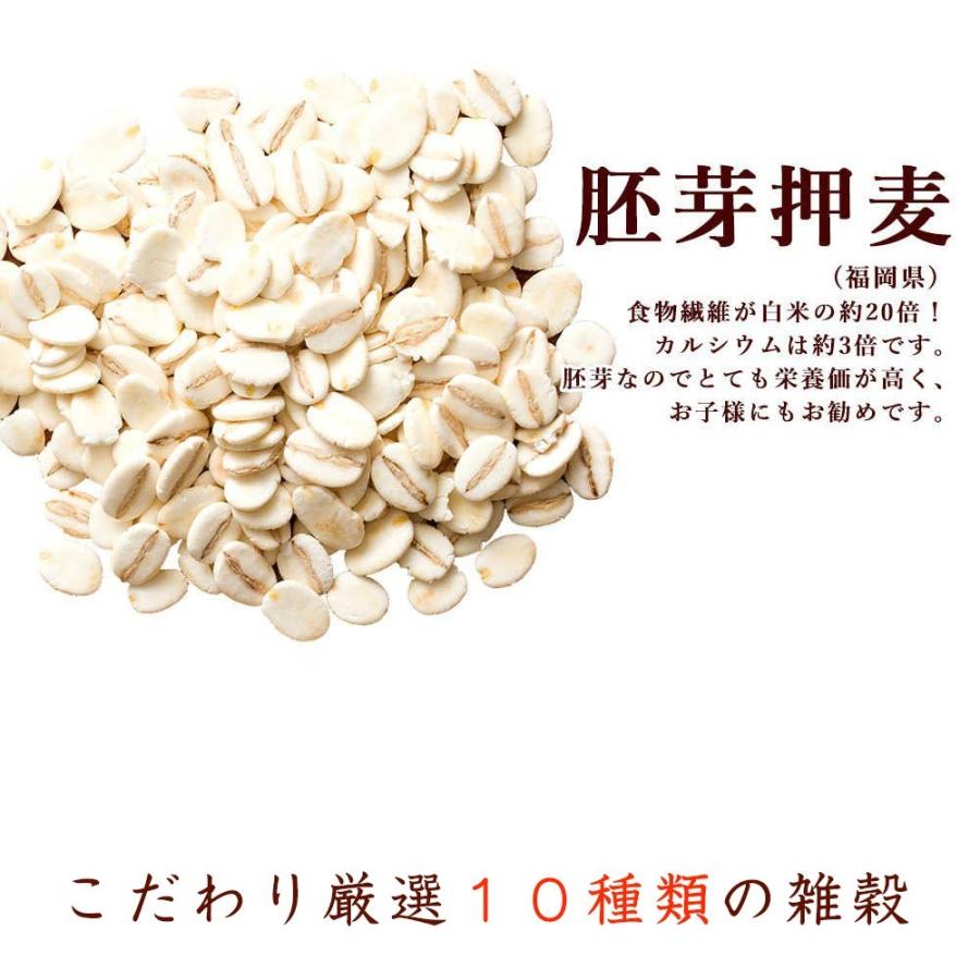 雑穀 雑穀米 国産 胡麻香る十穀米 900g(450g×2袋) 送料無料 ダイエット食品 置き換えダイエット 雑穀米本舗