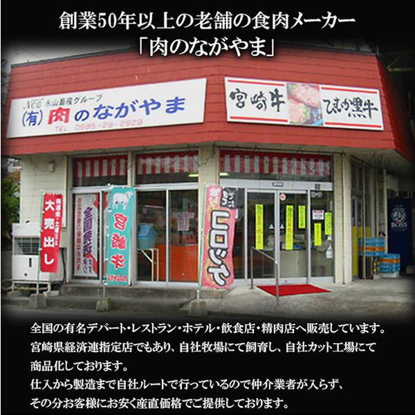 霜降りモモステーキ肉 牛肉 国産 宮崎牛 黒毛和牛 A4ランク以上 300g（100g×3枚）冷凍便