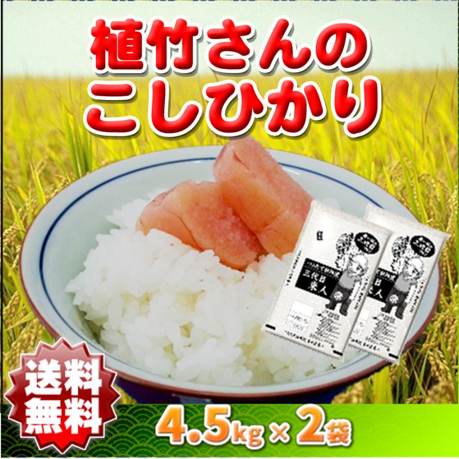 コシヒカリ お米 玄米 白米 9kg 小分け 令和5年産 埼玉県 地域限定 送料無料