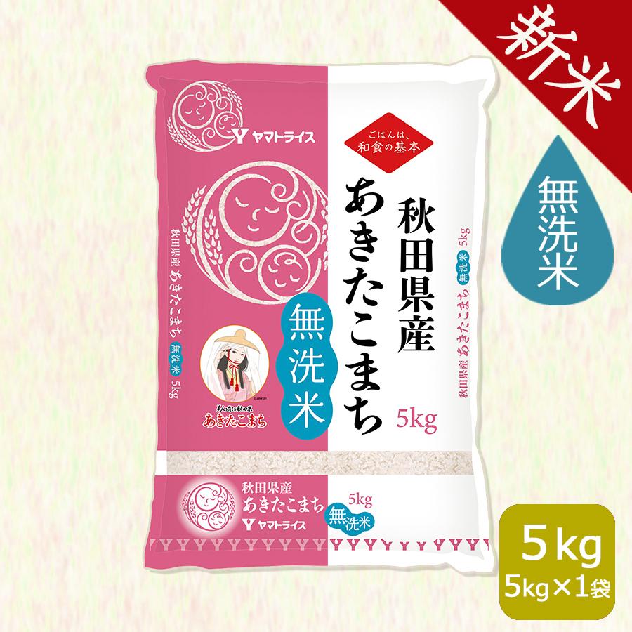 米 お米 あきたこまち 無洗米 5kg 秋田県産 令和5年産
