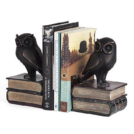 Danya B. Owl on Books Bookend Set